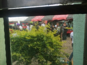 The funeral celebrations through my window